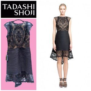 Tadashi Shoji Trixie High-Low Black Lace Dress 12